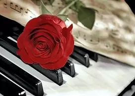 Wizardi Deimantinis paveikslas Rose Music WD053 38*27 cm