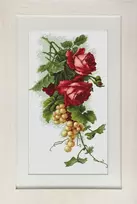 luca S Raudonos rožės ir vynuogės SB2229