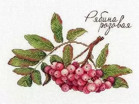Mp Studija Beldizart Gamtos dovanos. Rausvas šermukšnis SNV-693