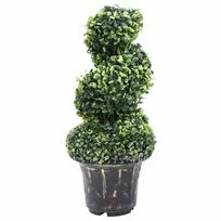 Dirbtinis buksmedis vazone, žalias, 59cm, spiralės formos