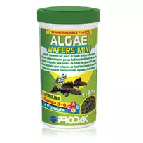 Prodac Algae Wafers Mini augalinės tabletės 7-8mm skersmens, dugninėms žuvims 250ml 135g