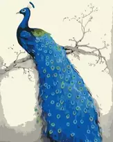 Symag Paint it! Tapyba pagal skaičius. Mėlynas povas 40x50cm