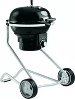 Roesle F50 Air Grilis sodo węglowy 50 cm x 50 cm