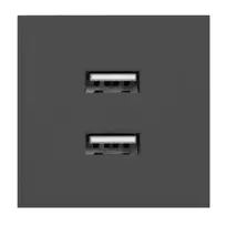 Orno NOEN USB x 2, dviejų prievadų modulinis 45x45 mm su USB įkrovikliu, 2.1A 5V DC, juodas