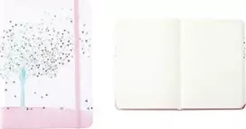 Peter Pauper Press Notebook mini širdies medis