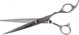 Trixie Professional plaukų žirklės Nerūdijantis Plienas 20 cm