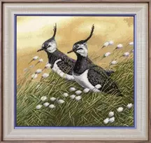 Beldizart (Nutraukta gamyba) Kryželiu siuvinėjimo rinkinys „Pievos paukščiai“ 27.5 × 28.5 cm S/Z058
