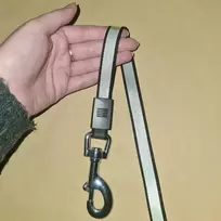 Automatinis pavadėlis šuniui 8m/50kg purlov 19786m