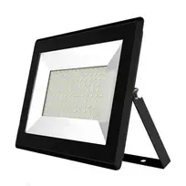 100W "Slim" LED lauko prožektorius