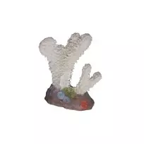 Happet Koralas 10cm
