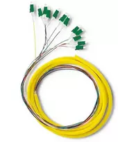 Qoltec 12 x LC/APC optinio pluošto kabeliai 2m G657A2