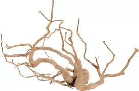 Zolux Japoniškas šaknis Voras Wood Jumbo