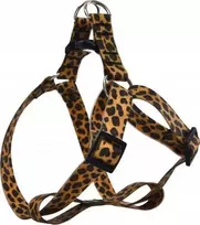 Barry King Neperšlampami šunų diržai, PVC, leopardo raštas, 2x35-55cm