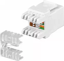 Intellinet 771283 modulis Keystone RJ45 UTP Cat5e, Punch-Down, baltas