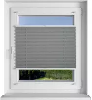 Plisuotos žaliuzės PLI 6007 75cm x 200cm