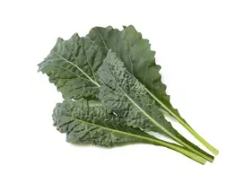 Click And Grow Click & Grow sėklos išmaniajam vazonui - Kale kopūstai (Italian Kale) 3vnt.