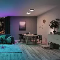 Paulmann Lubinis šviestuvas Rainbow Dynamic Panel 22W RGB Variable Balta Balta/juoda