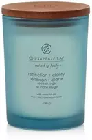 Chesapeake Bay Candle vidutinė žvakė – Reflection & Clarity (Sea Salt Sage)