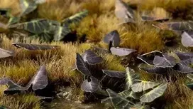 Gamers Grass Gamers Grass: lazeriniai augalai - Juoda magija Tano - Juodoji magija