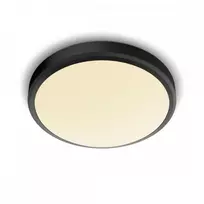 Lubinis šviestuvas Šviestuvas lubų Philips Doris, 17W, 2700°K, LED, juodas