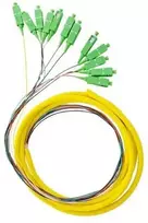 Qoltec 12 x Pigtail optinio pluošto kabelis SC/APC 2m