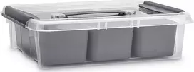 Plastikinė dėžė su dangčiu ir skyreliais Pro Box Plast Team 8L permatoma