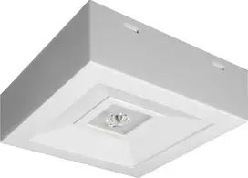 AWEX avarinis šviestuvas LOVATO N ECO LED 3W 315lm (koridorinė optika) 1h vienos paskirties baltas LVNC/3W/ESE/AT/WH - LVNC/3W/ESE/AT/WH