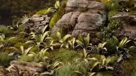 Gamers Grass Gamers Grass: lazeriniai augalai - Dygusis fernas - spygliuotas medis