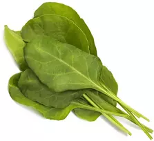 Click And Grow Click & Grow sėklos išmaniajam vazonui - Lapiniai burokėliai, 3vnt.