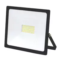 LED lauko prožektorius "TOLEDO" 50W