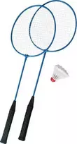 Master Badmintono meistras VERTĖJŲ MEISTRO VARDAS