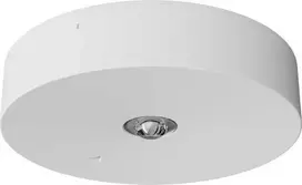 AWEX avarinis šviestuvas AX3N IP20 LED 1W (pasirinktinai atviras) 1h vienos paskirties baltas AX3N/O/1W/B/1/SE/X/WH