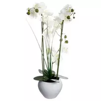 Bikuvalt Dekoratyvinis augalas Orchidėja su baltu vazonu 38x38x53 cm Atmosphera 136510B