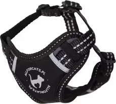 All For Dogs VĖŽIAGYVIŲ ERDVĖS MOKYKLA