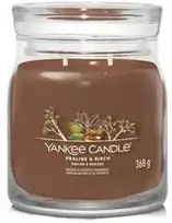Yankee Candle Aromatinė žvakė Signature glass medium Praline - Beržas 368 g