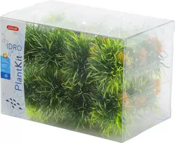 Zolux mažų dekoratyvinių akvariumo augalų rinkinys, 24 vnt., akvariumui