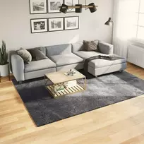 Kilimas HUARTE, antracito, 200x280 cm, trumpi šereliai