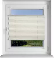 Plisuotos žaliuzės PLI 6009 65cm x 145cm