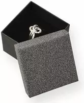 Jk Box Elegantiškas dovanų dėžutės žiedas MG-3 / A25