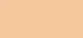 Yves Saint Laurent ALL HOURS FOUNDATION RENO, 25 ml, LC1