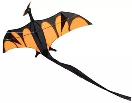 Airow „Dragon XL“ aitvaras vaikams nuo 6 metų, 170 x 90 cm