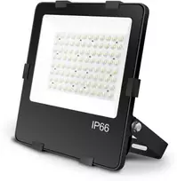Tope Lighting LED lauko prožektorius "TENRI" 50W