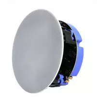 Bose Lithe Audio Bluetooth IP44 Rated Vonios 6.5 Lubiniai Garsikalbiai (SINGLE - Aktyvinė), 03210
