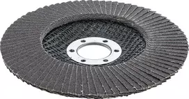 Bgs Technic Šlifavimo diskas lapelinis | Ø 125 mm | K 120 (3977)