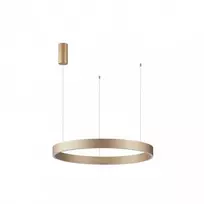 Italux 40W LED pakabinamas šviestuvas BRASCO DOWN, aukso sp., 3000/4000K, dimeriuojamas