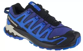 Bastad Danmark Aps Buty bėgiojimui Salomon XA Pro 3D v9 GTX M 472703 (rozmiar_EU-44)