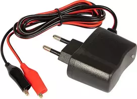 6V 1A LED BLOW gelio akumuliatorių įkroviklis