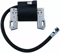 Degimo ritė Briggs&Stratton 595304