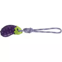 Trixie Žaislas šuniui Baklažanas ant virvės, TPR, 13 cm/34 cm