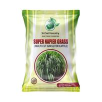 Super Napier žolės sėklos, didelis derlius, daugkartinio pjovimo žolė karvėms ir ožkoms (100G)